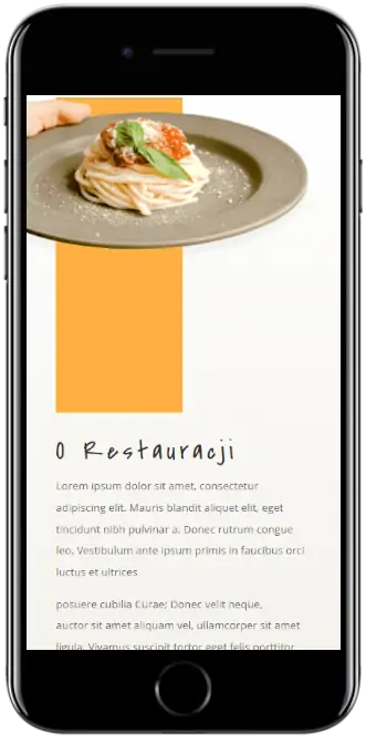 Znajdzsiewnecie - Responsywne Strony Internetowe